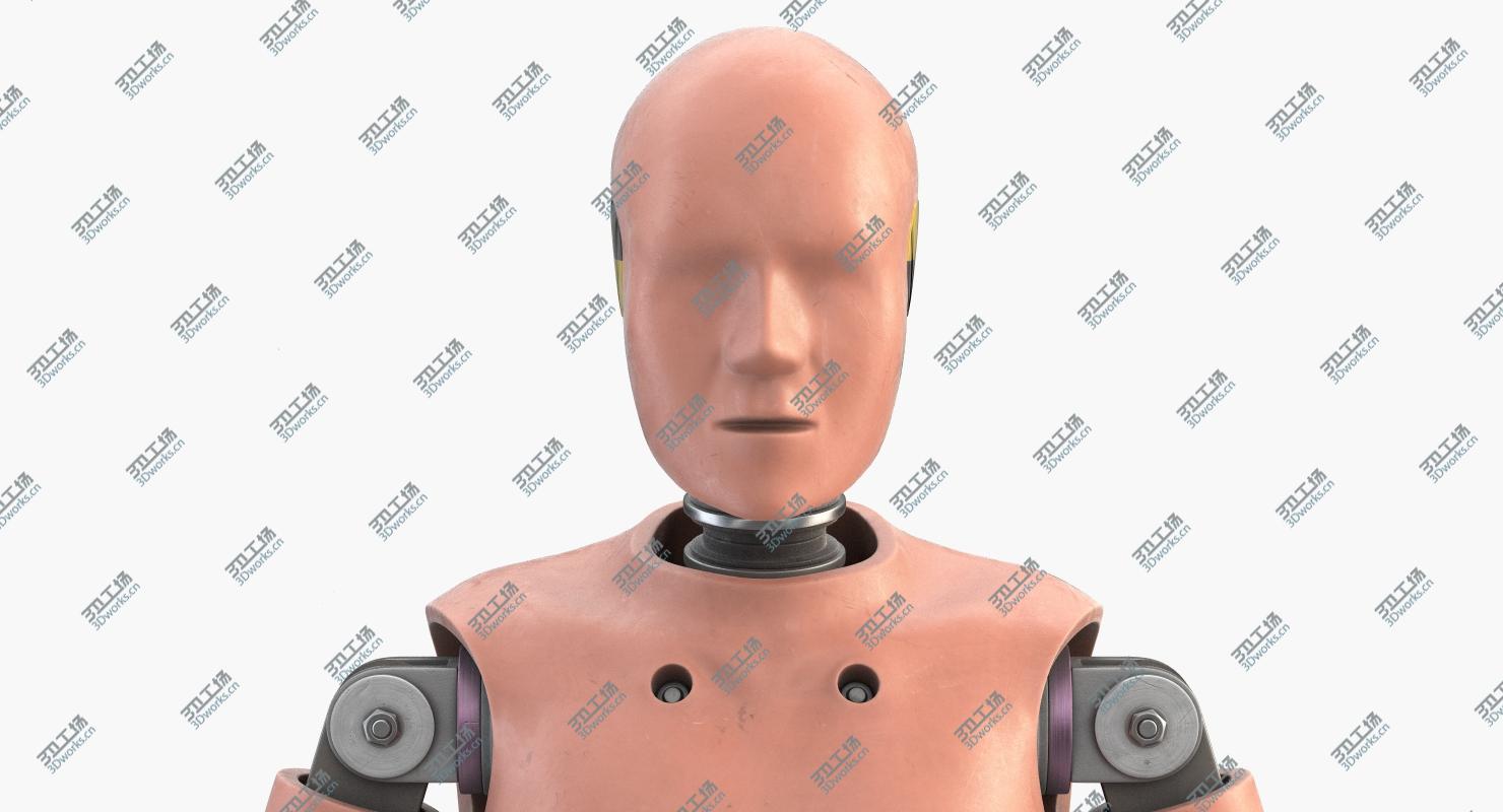 images/goods_img/20210319/Crash Test Dummy 1 3D model/5.jpg